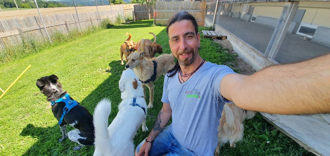 Philipp mit mehreren Hunden im Freien